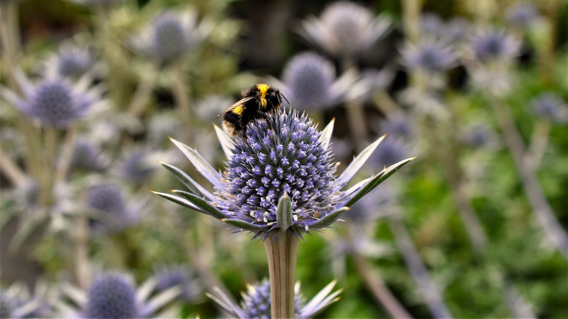 Unbeatable provenance and quality