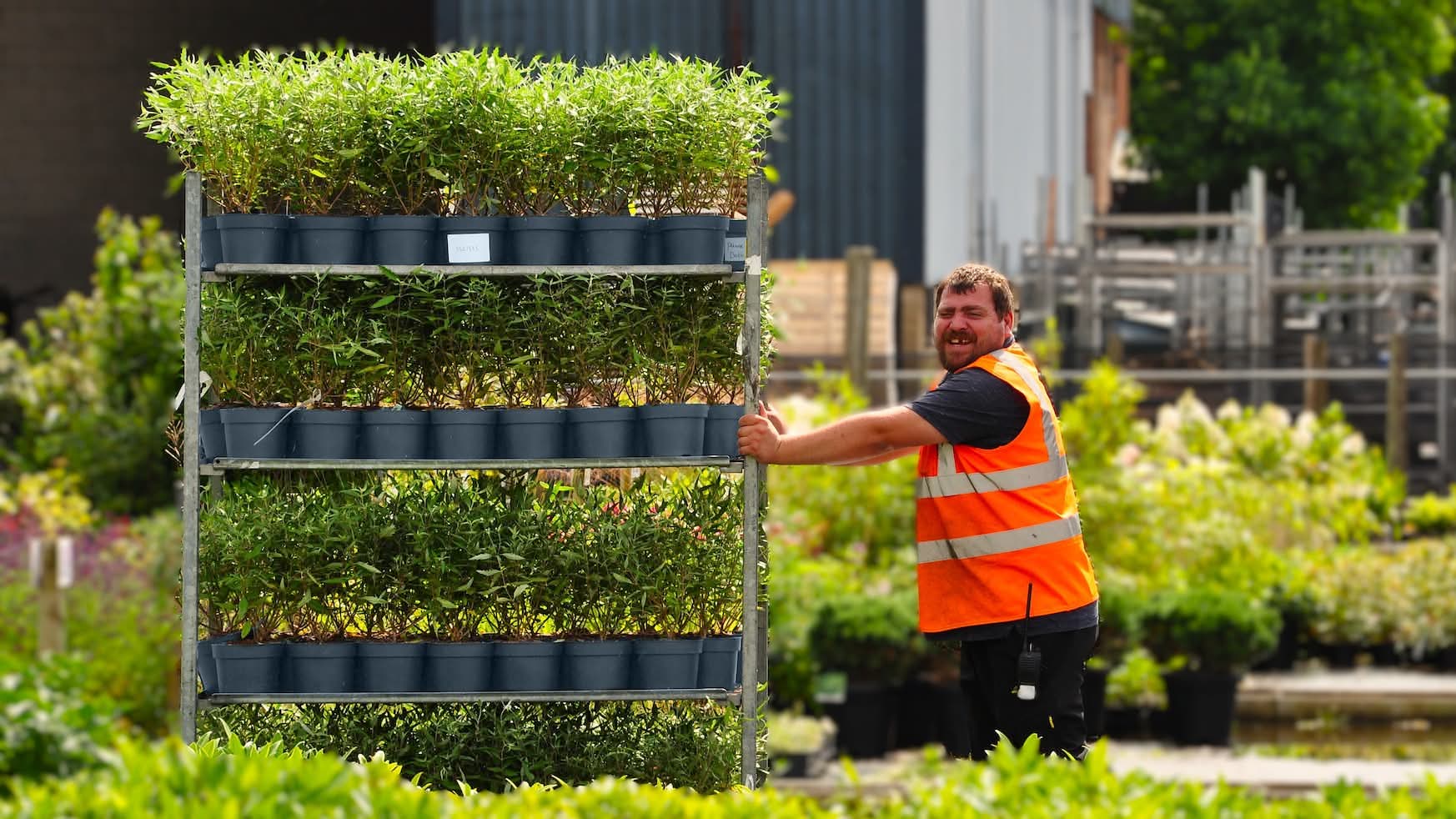 Palmstead Nursery People 5