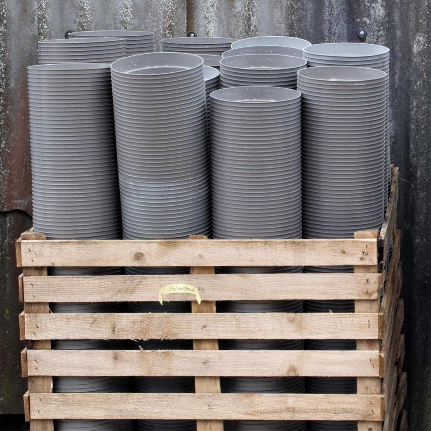 Palmstead Nursery Planet 3