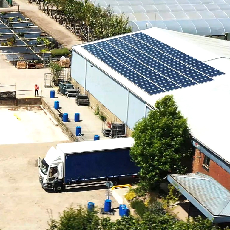 Palmstead Nursery Planet 5